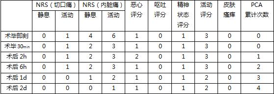 围手术期个案护理比赛优秀案例ppt,术后镇痛的规范化管理ppt