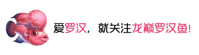 手把手教你如何正确消毒,用什么消毒对冠状病毒有效