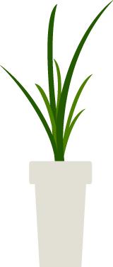 入门级留学申请干货留学小白必看,攻略必备干货知识分享