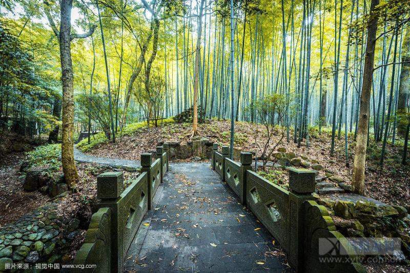 绔归煹娼囨絿,绔归煹娼囨絿鍥剧墖