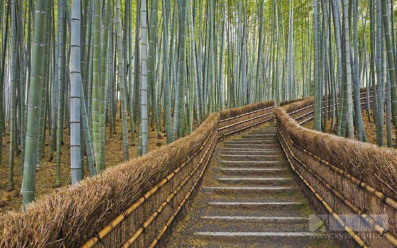 绔归煹娼囨絿,绔归煹娼囨絿鍥剧墖