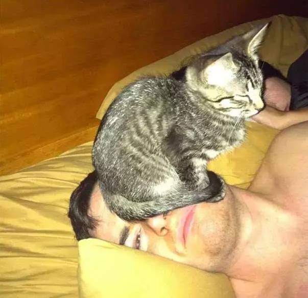 自从养了狗就没有了朋友,自从养了狗就没有朋友