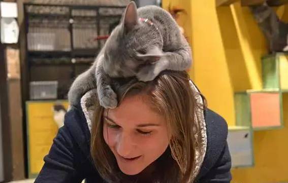 自从养了狗就没有了朋友,自从养了狗就没有朋友