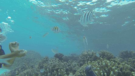 濡欏鐤楁剤,濡欏