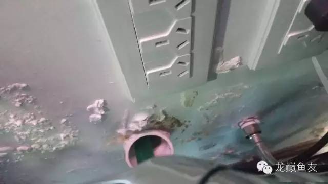 你还在傻傻的补水吗,你还在傻傻的浮潜吗