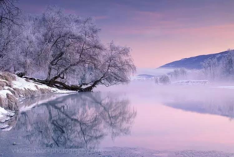 viktor俄罗斯摄影师,摄影师oliviabee时尚人像作品