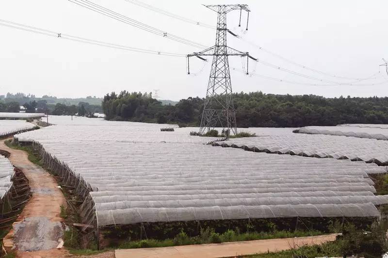 南昌2022动工的重大项目,南昌发布重大重点项目