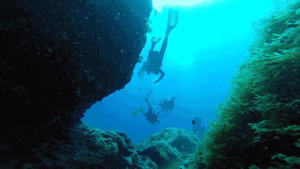 濡欏鐤楁剤,濡欏