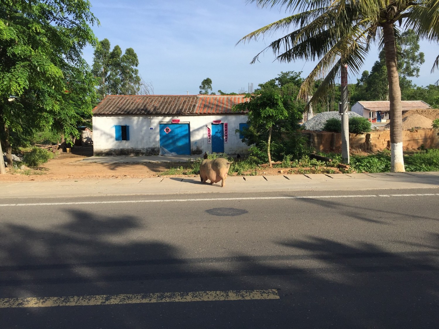 单车骑行环海南岛攻略,环海南岛骑行一圈花费