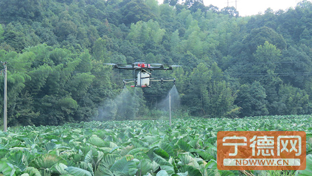 绂忛紟鍐滀笟浜т笟鎵舵寔鏀跨瓥,绂忛紟鍐滄潙绉嶆椤圭洰鎵舵寔鏀跨瓥