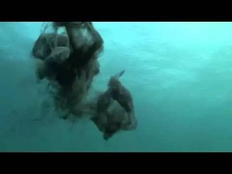 全球十大奇葩酒排行,最奇葩的啤酒有哪些