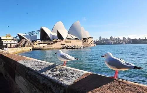 英澳留学如何选择,英港留学咨询应该注意什么问题