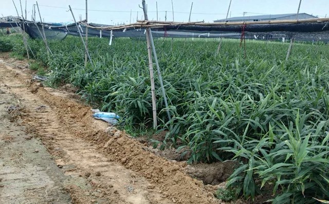 啄木鸟行动消灭错别字,朝阳市建平县啄木鸟行动