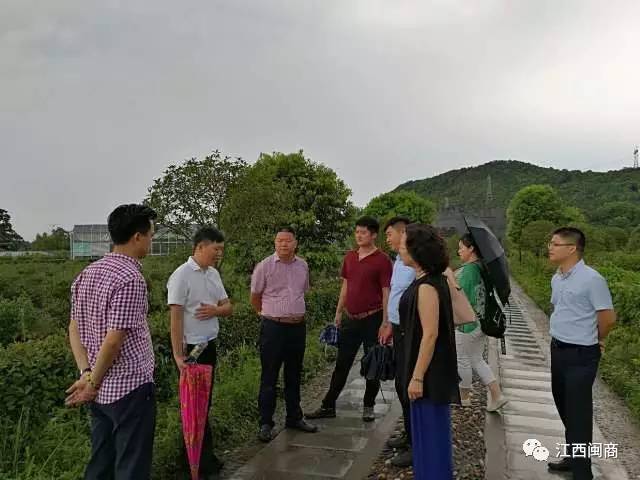 商会红木家具会员企业走访,商会秘书处走访