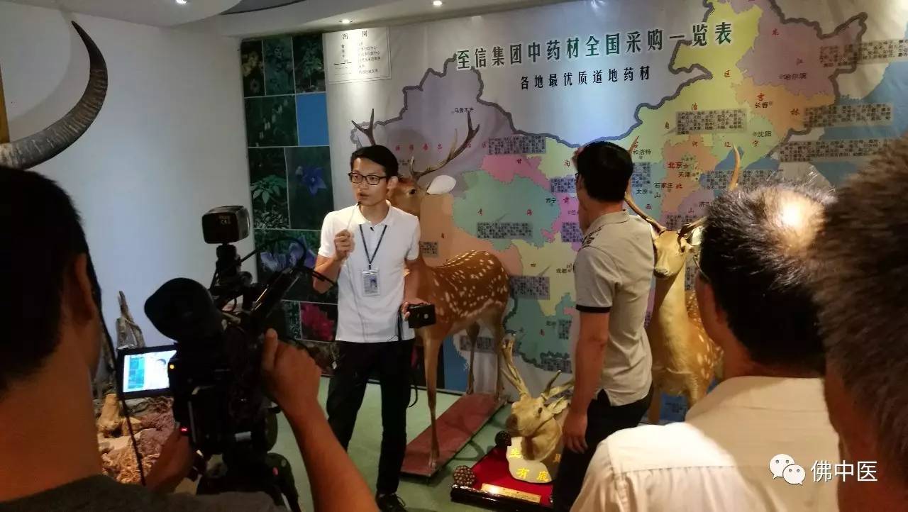 跟着大师学习中医的经历,学中医带你体会中医12堂课