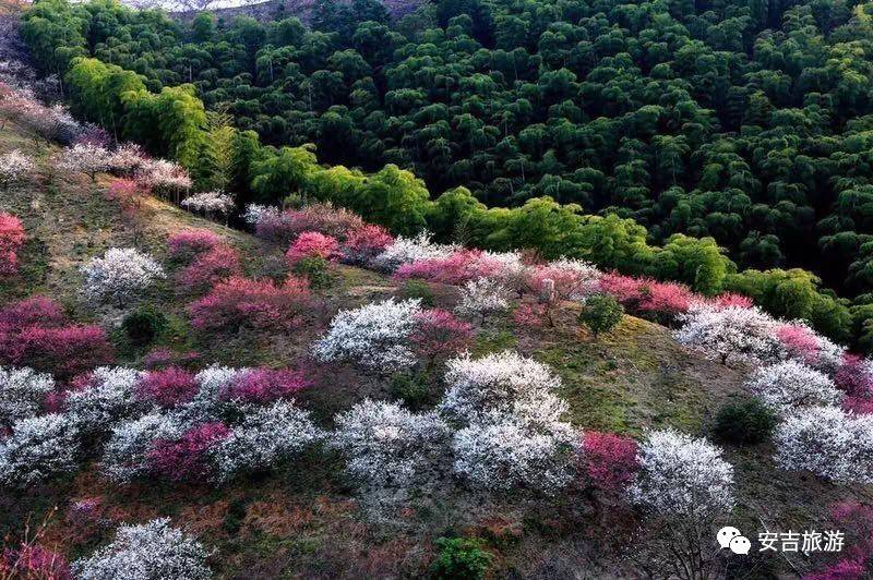 中国大竹海游玩攻略,浙北安吉大竹海攻略