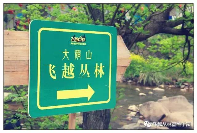 厉害了!衢州惊现1680米亚洲最长的双人高空溜索!七夕福利震撼来袭!