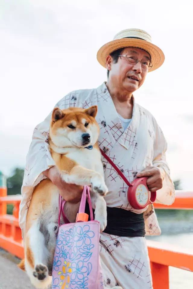 旅拍最佳搭档！精嘉VEO264CTB碳纤维折叠脚架日本京都之行