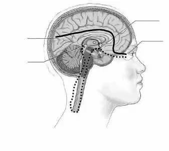 「生活」天津各大医院科室王牌专家大全！收好，进门就能找对人！