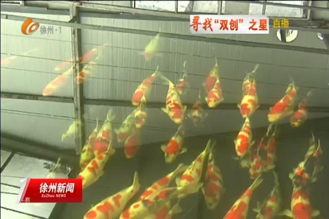 刘电：把小锦鲤做成大产业