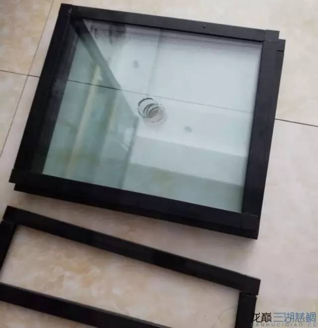 从零开始原生缸,从零开始造景缸