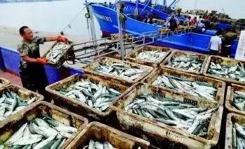 原创｜烟台一年最嗨的日子来了！即将开海，这些图却火了