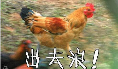 3月南京低价机票,2021年9月南京机票特价