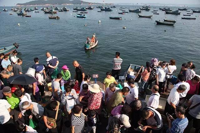 开海最新海鲜,开海时海鲜价