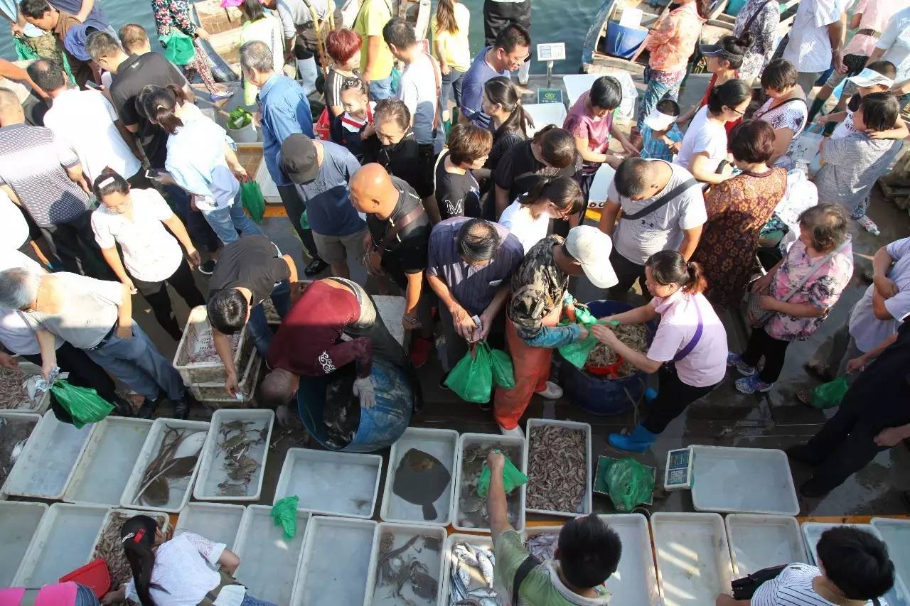 开海最新海鲜,开海时海鲜价