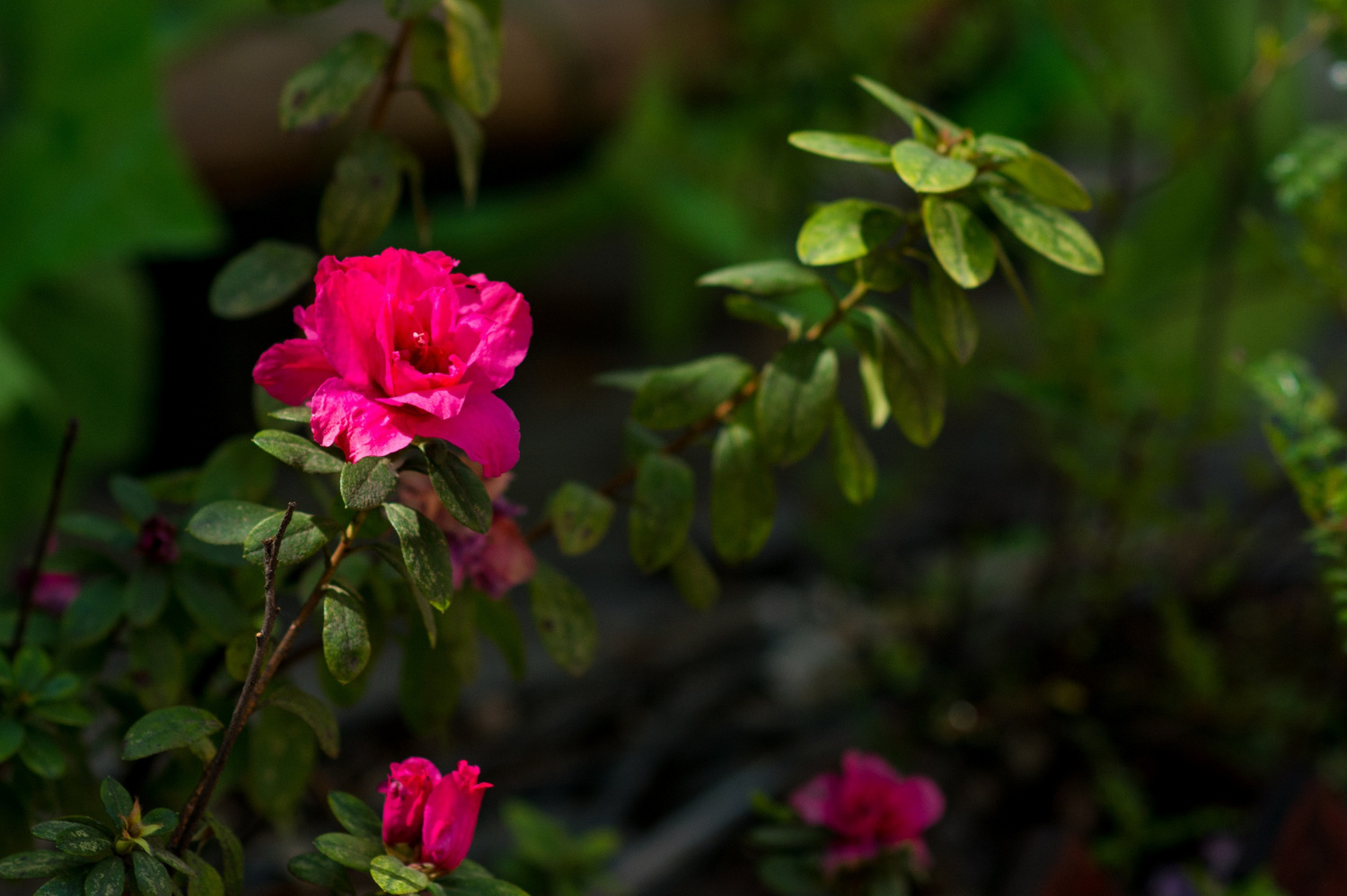Hi,我是小可,我又回来了,产后第一次出行,娘子军奔赴女儿国