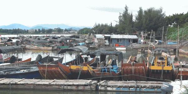 开海哪里的海鲜最便宜,威海开海适合买什么海鲜