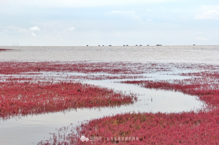 他说他想去看北方的海，我说“好”