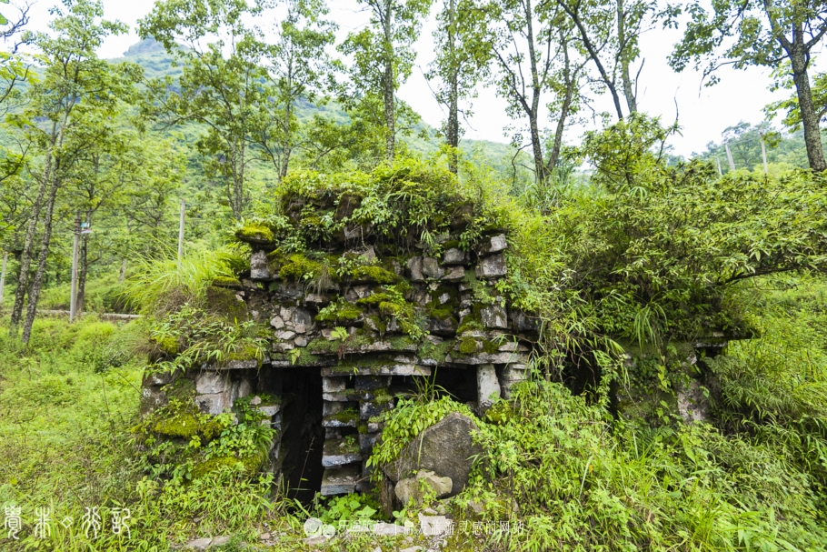 二十四道拐布谷鸟完整版,关山二十四道拐