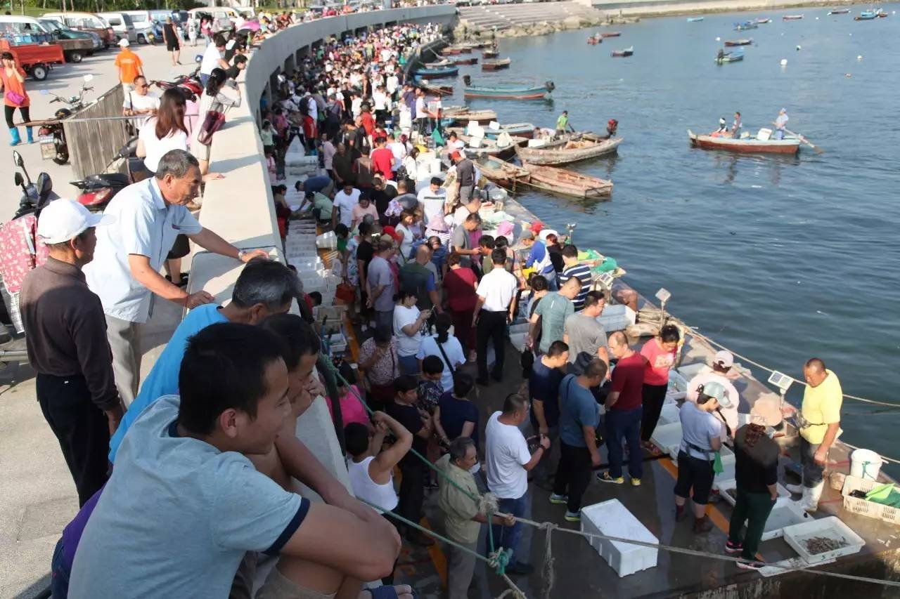 开海啦一大波生猛海鲜汹涌来袭,开海抢鲜梭子蟹