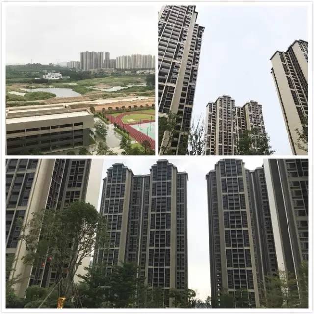 广州东部楼市最新消息,广州主城区楼市洼地