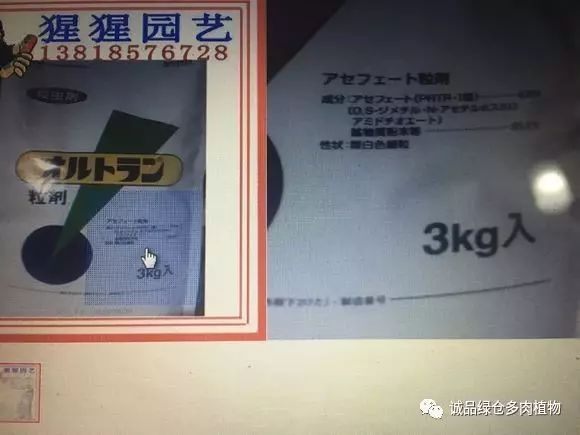 多肉最好的杀虫剂有哪些,多肉常见杀菌杀虫药