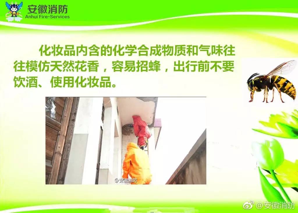 居民屋檐下惊现巨型马蜂窝,居民楼惊现马蜂窝消防队员一窝端