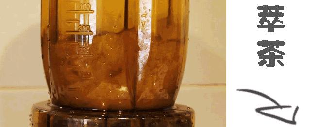 水果茶网红杯一次性,500g网红水果茶