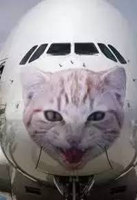 日本航空最近的空难,日本航空最近空难