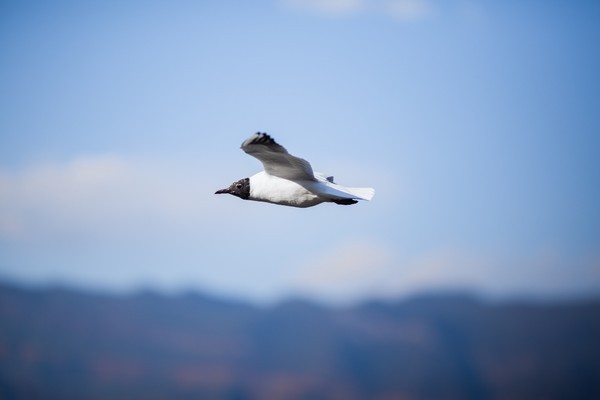 Hi,我是小可,我又回来了,产后第一次出行,娘子军奔赴女儿国