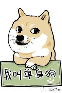 单身狗们你们七夕怎么过,七夕了单身狗应该发什么