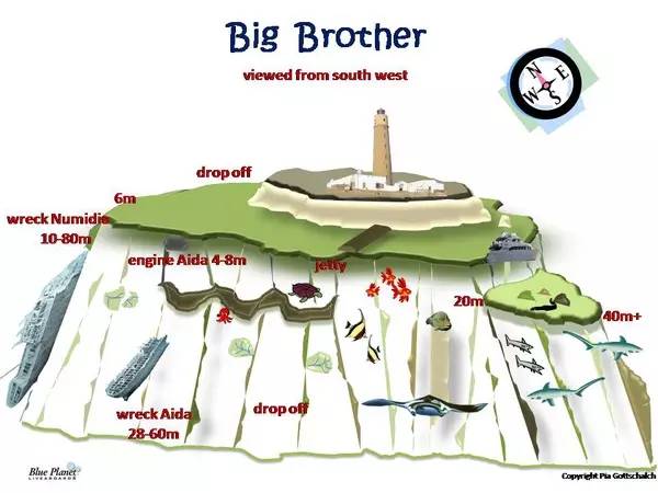 从入门级到朝圣级，职业潜水教练告诉你船宿该怎么选