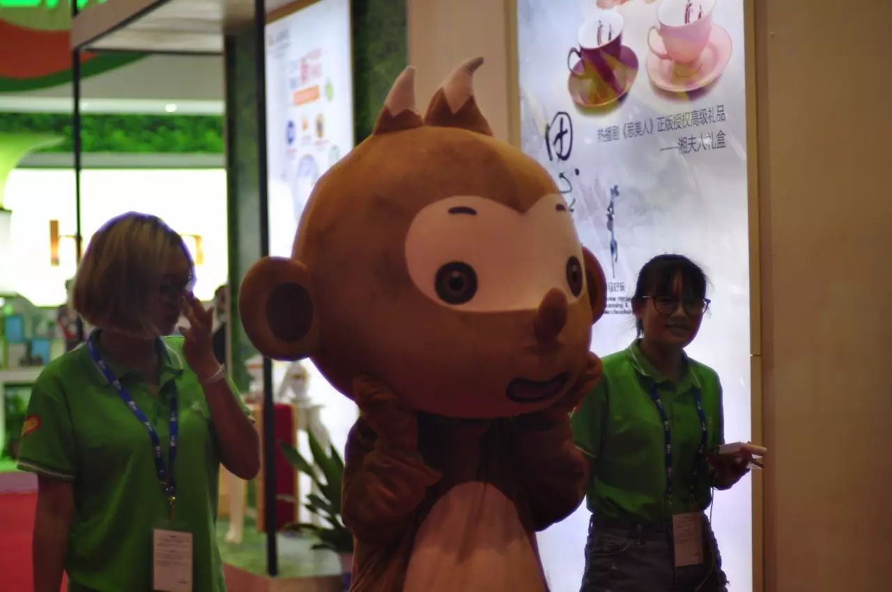 东盟博览会各国各地展览现场,东盟博览会高清