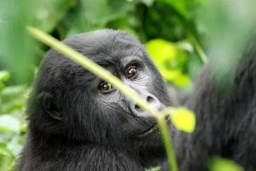 旅行最值得推荐的小众目的地 (适合年轻人旅游的十大目的地)
