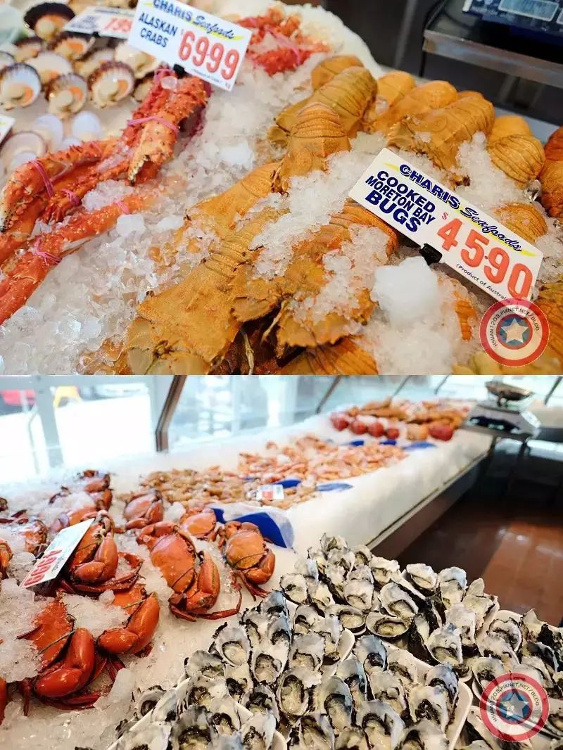 黄金海岸布里斯班旅游攻略,布里斯班黄金海岸