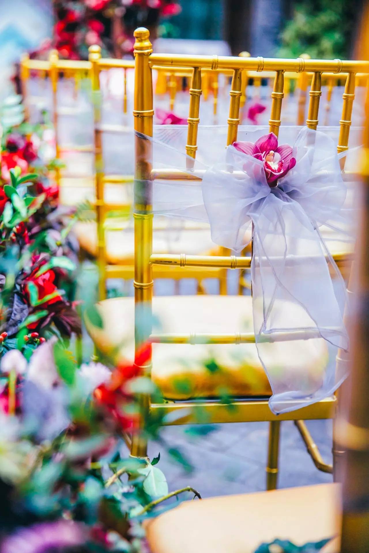 庭院婚礼中式红色系,红蓝撞色庭院中式婚礼