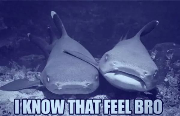 神仙水可以用来当防晒吗,神仙水防晒霜一起用