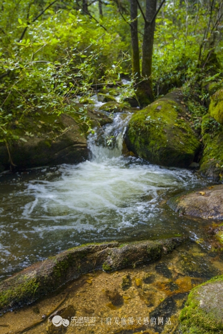 镜泊湖火山口免费景点,镜泊湖火山口森林景区