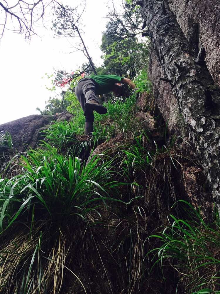 走近你就走进了痛苦出自哪里,走近你就是走近痛苦