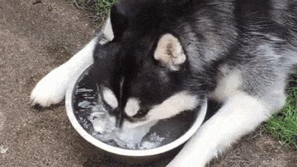 泡沫怎么会破灭可以软着陆吗,为什么泡沫遇火会消失